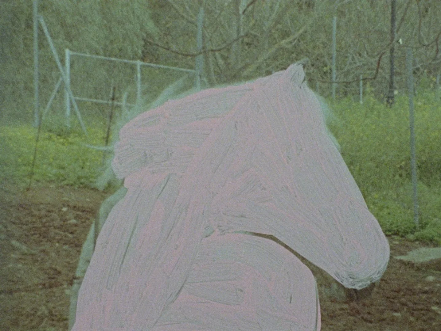EX-Now+3_04_Portales_Still_1.jpg