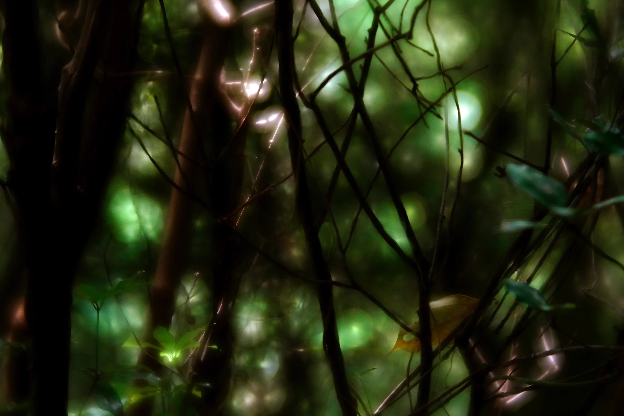 숨소리와 속삭임_Breathing and Whispering_전준혁_Junehyuck Jeon