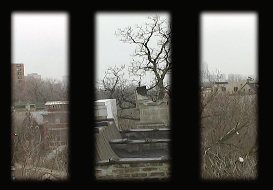 Forlorn_still.jpg