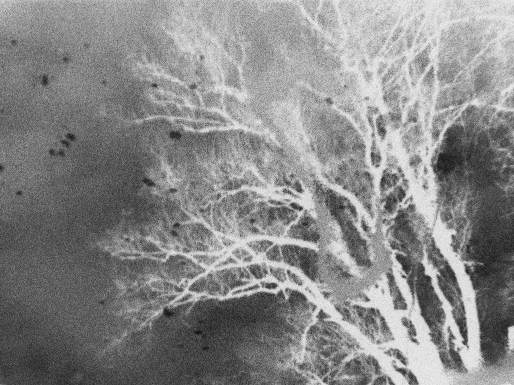 EX-Now+2_04_where+night+falls+a+thud_Still_2_%EC%A0%80%EC%9A%A9%EB%9F%89.jpg