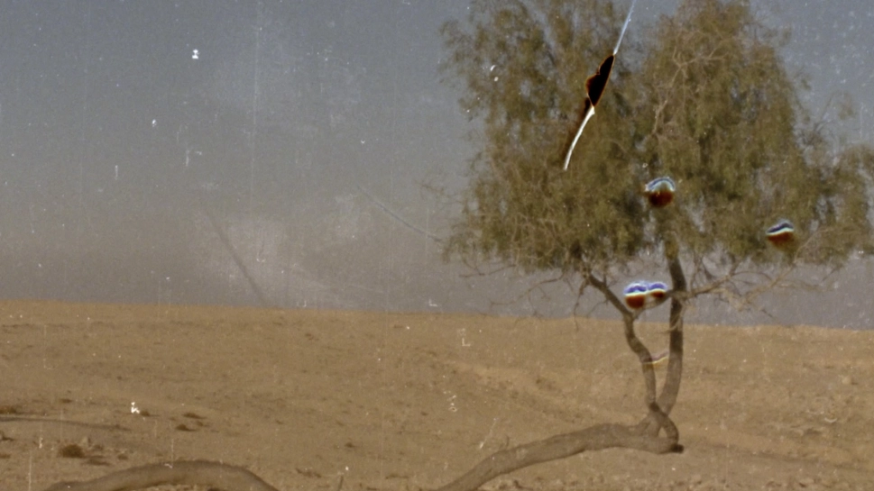 폭풍우 (샹탈 아커만에게 보내는 두 통의 편지)_Vents Violents (two letters to Chantal Akerman)_시라 포이겔 브루트만, 에이탄 에프랫_Sirah Foighel Brutmann, Eitan Efrat