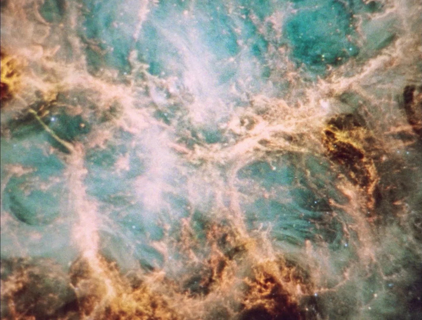 MICROCOSMIC_ORBIT_3.jpg