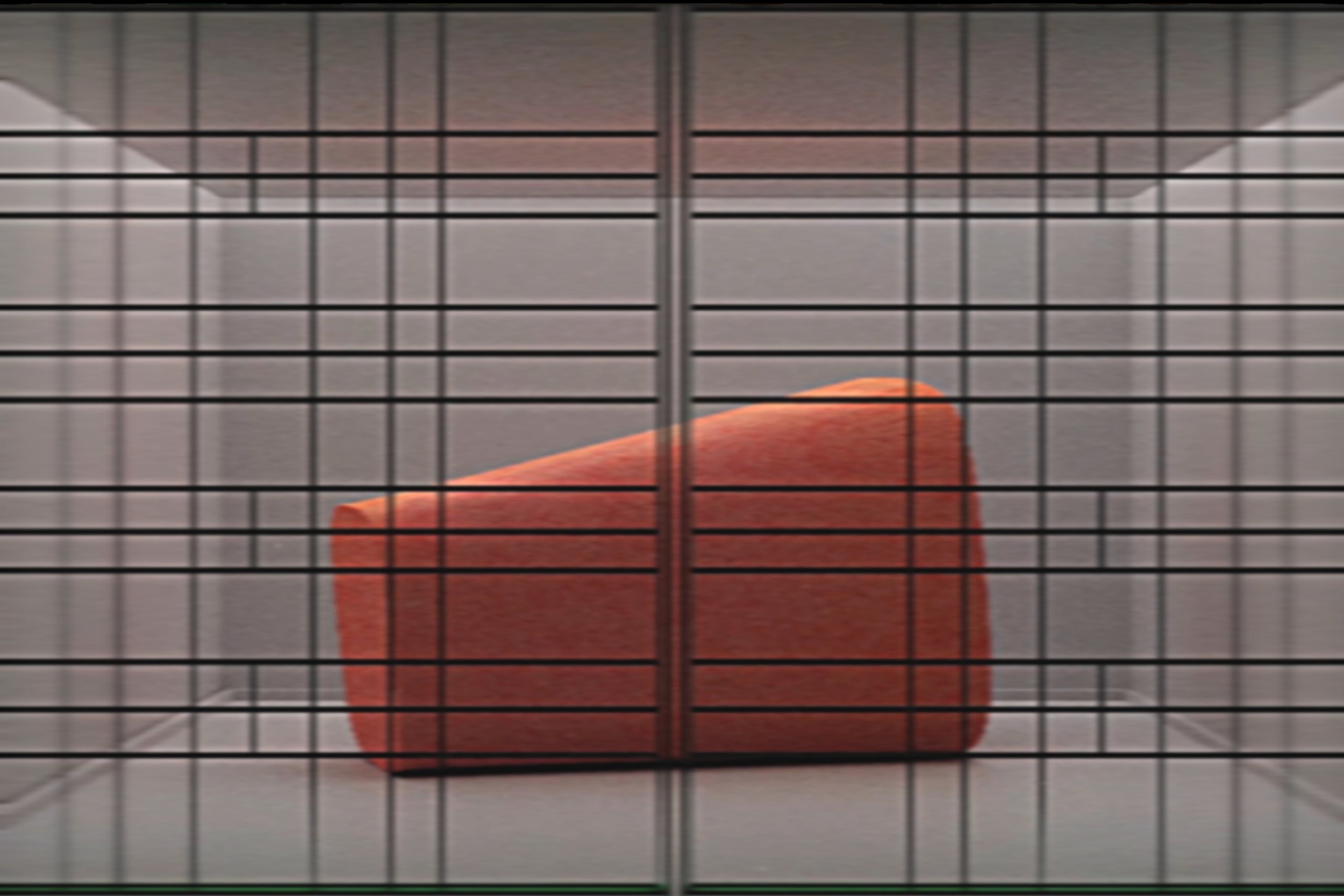 EX-Now 3_01_A Metamorphosis_Still_3.jpg