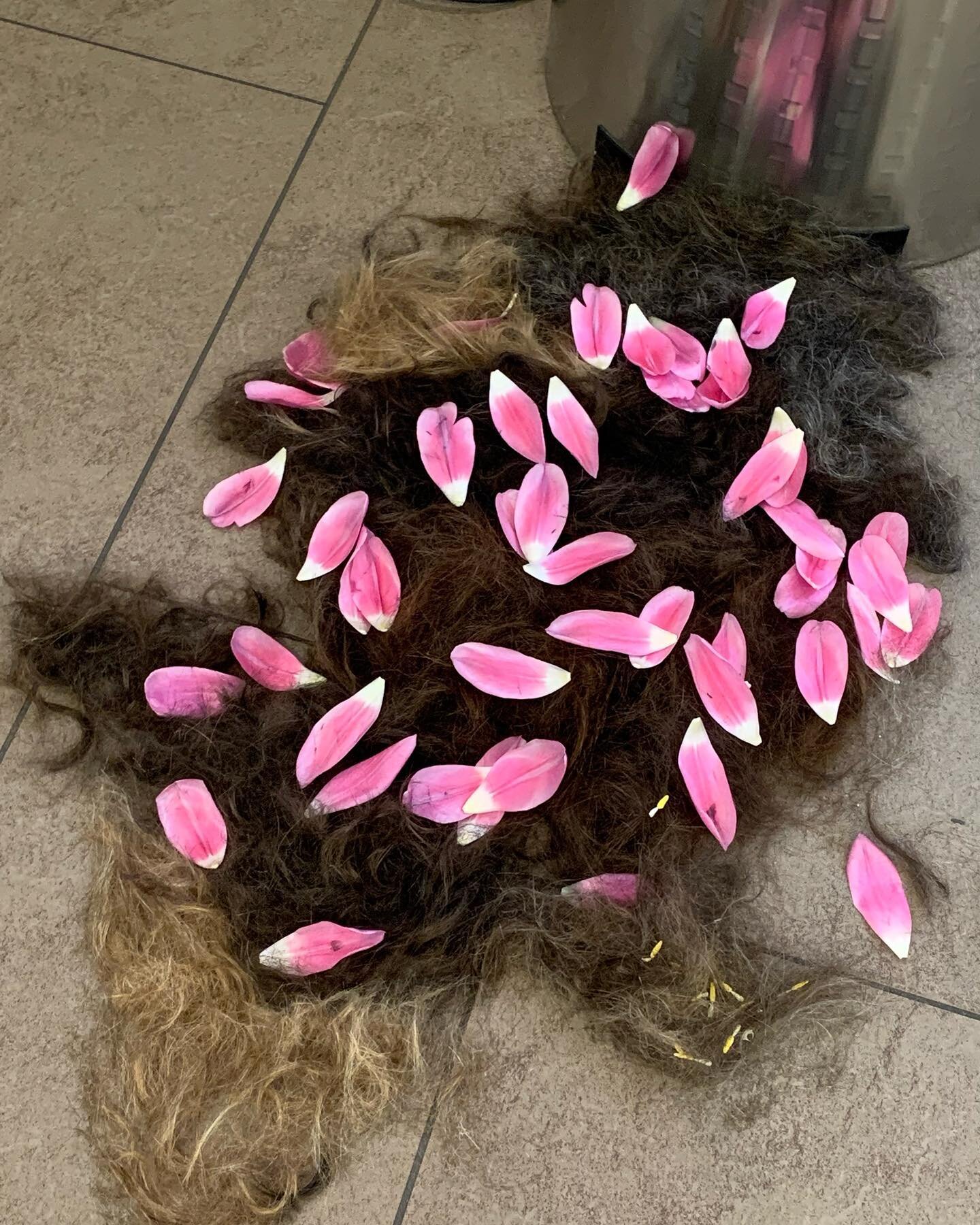 Tulip petals on a bed of hair #ontheendofagreathairday #becreative #hair #tulips #leafs #flowerpower #somuchhair #everywhere #koep #amsterdam #evo #evohair #hazenstraat #kapper