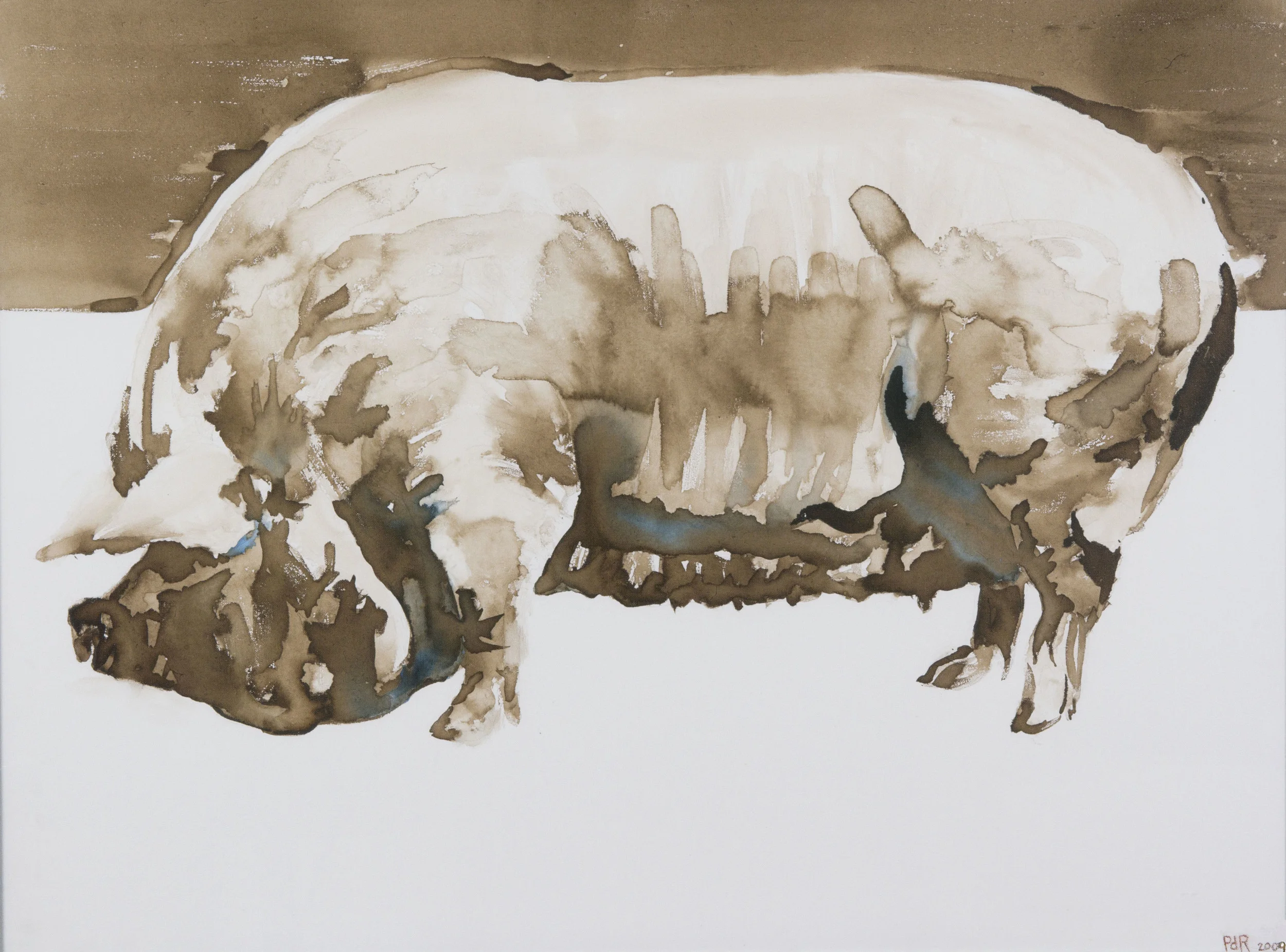 Pig 2011