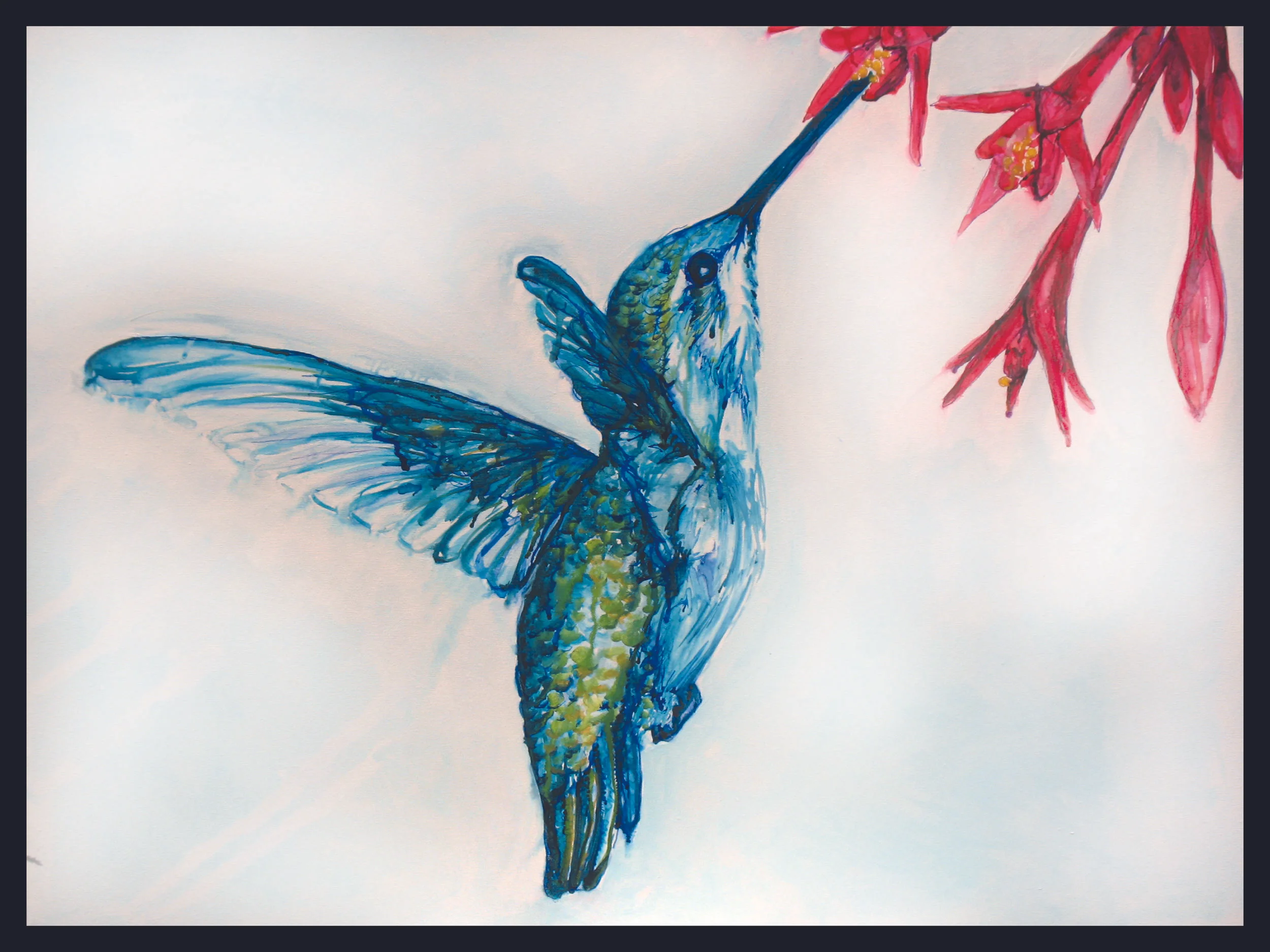 Humming Bird 2009