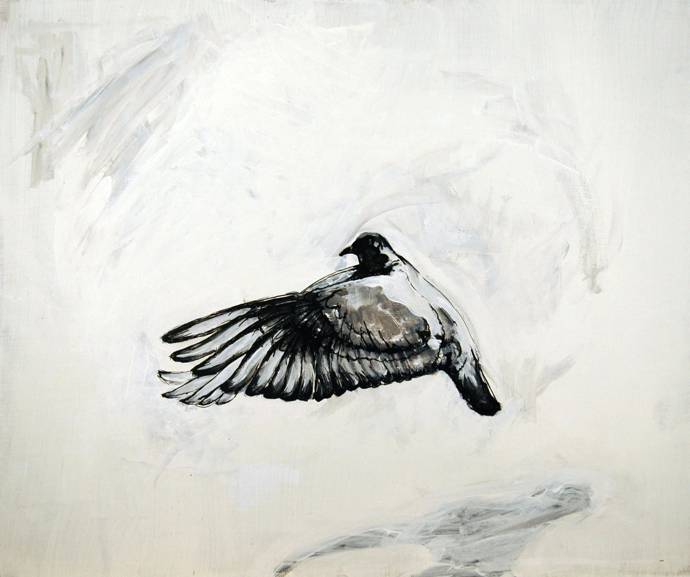 Pidgeon 2007