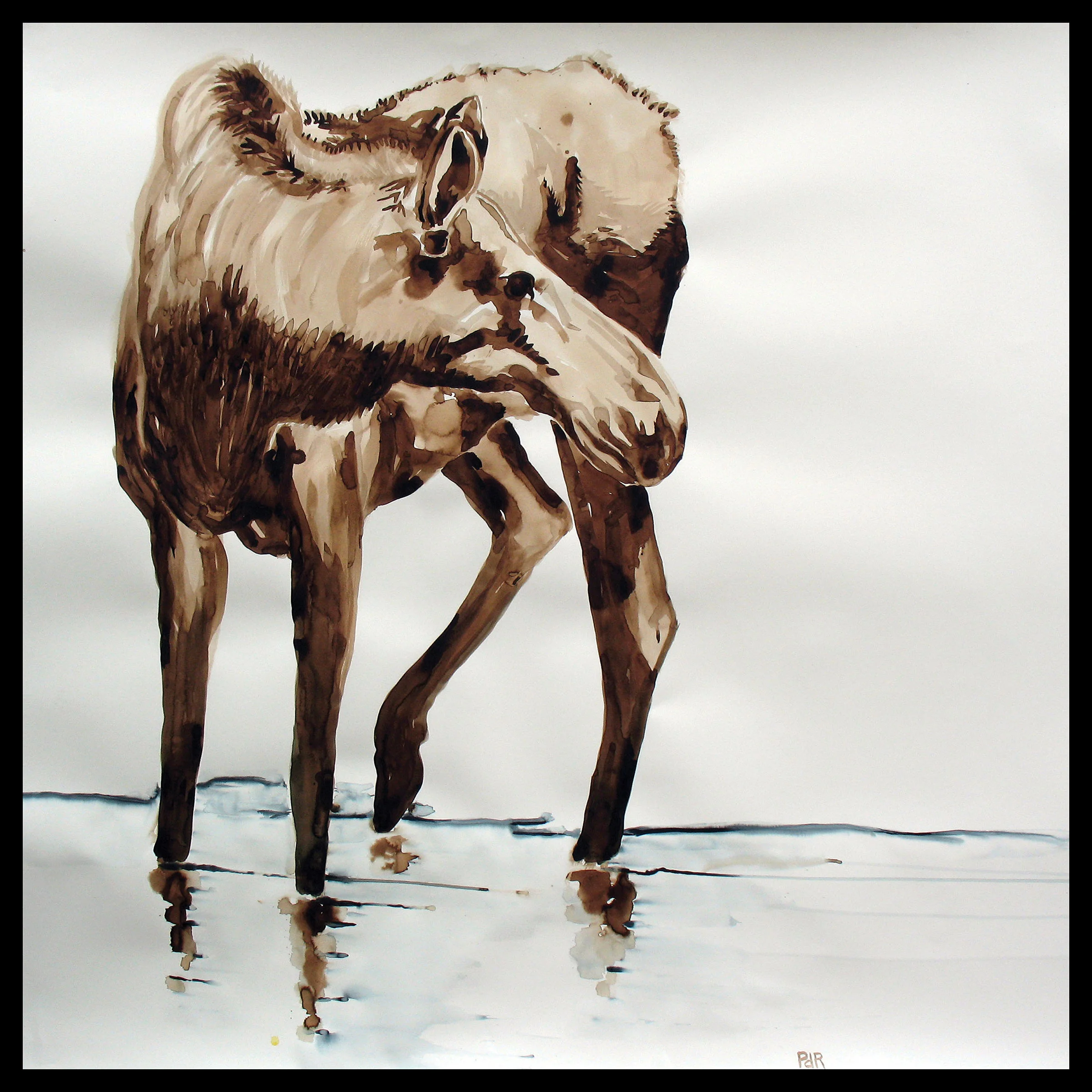 Moose Prt RGB_8_010117.jpg