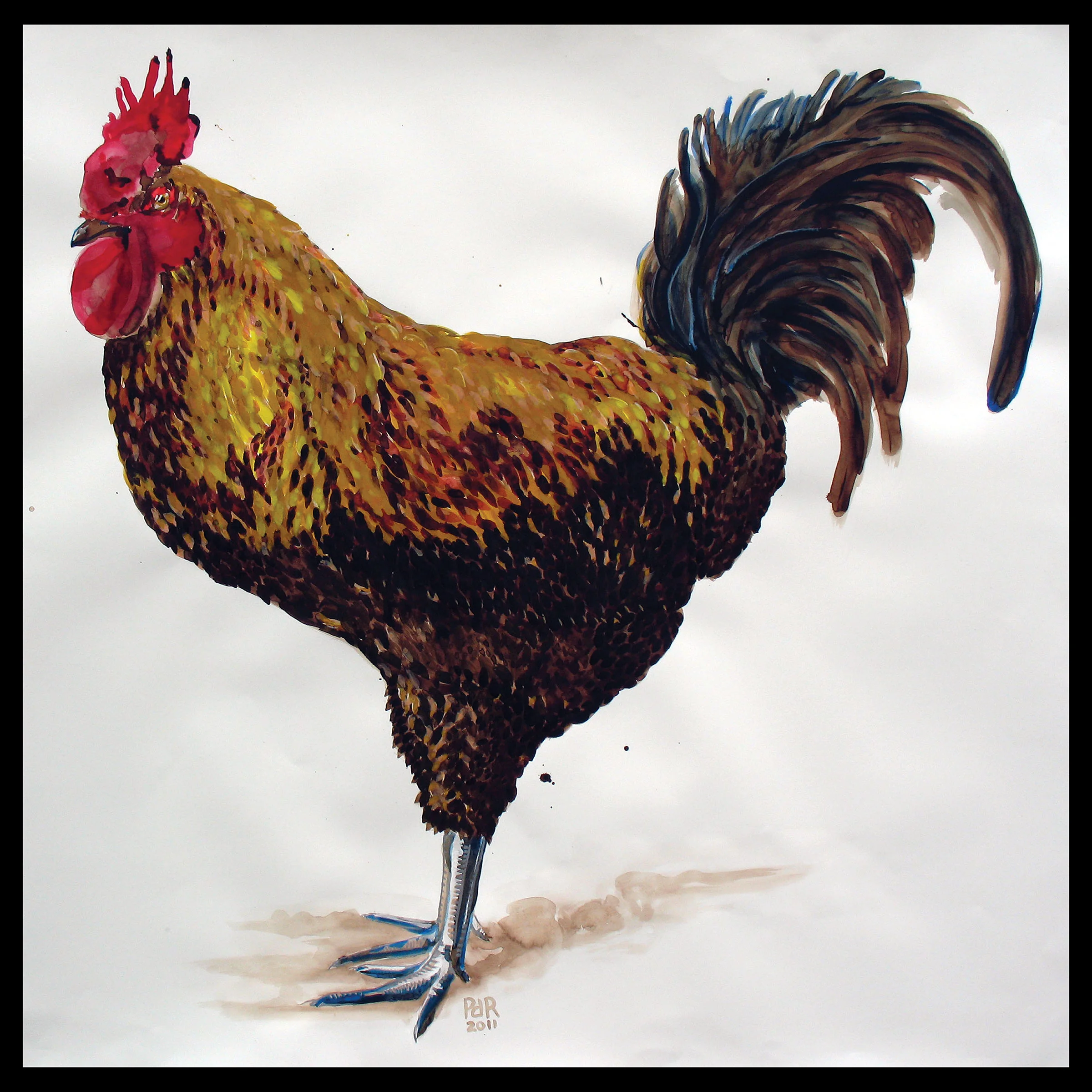 Rooster Prt_RGB_8_010117.jpg