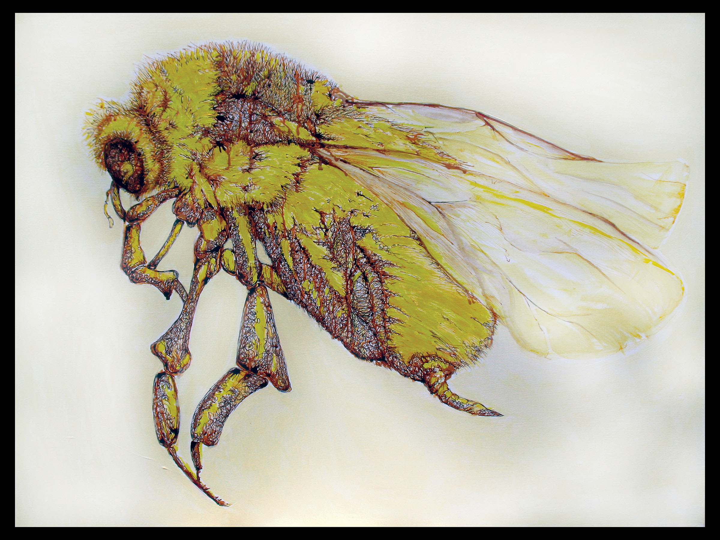 Bee_Prt_RGB_8_010117.jpg