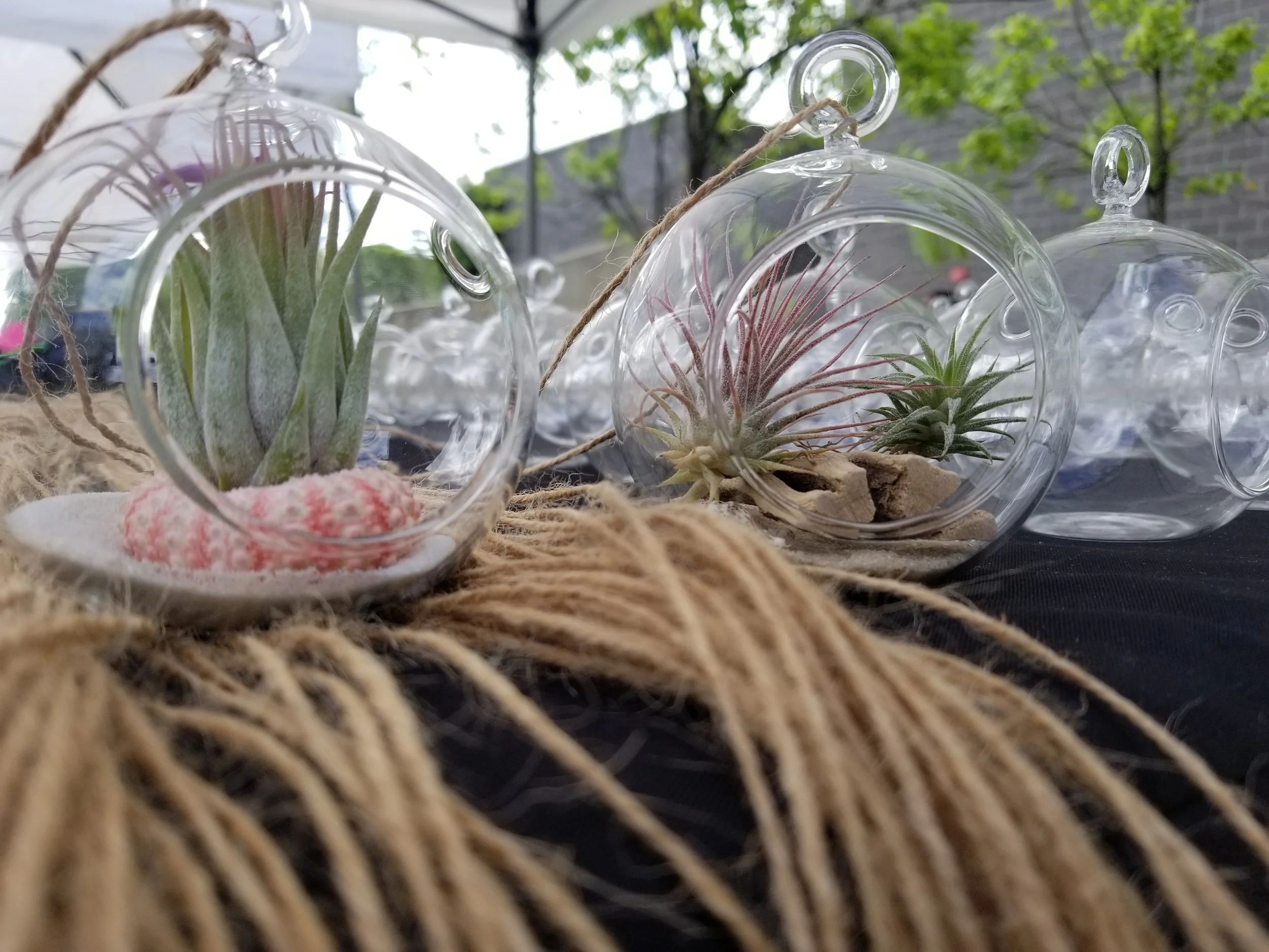 20190426_103359.jpg