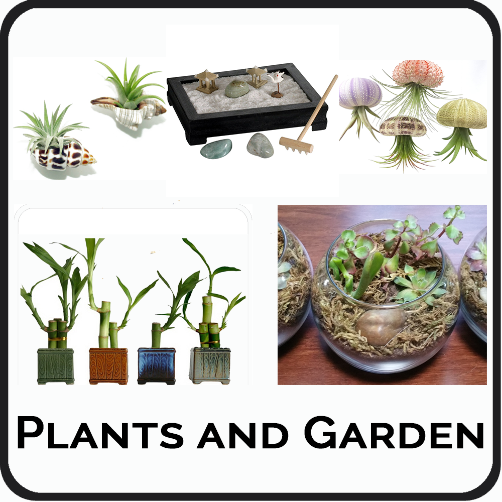Plants and Garden.png