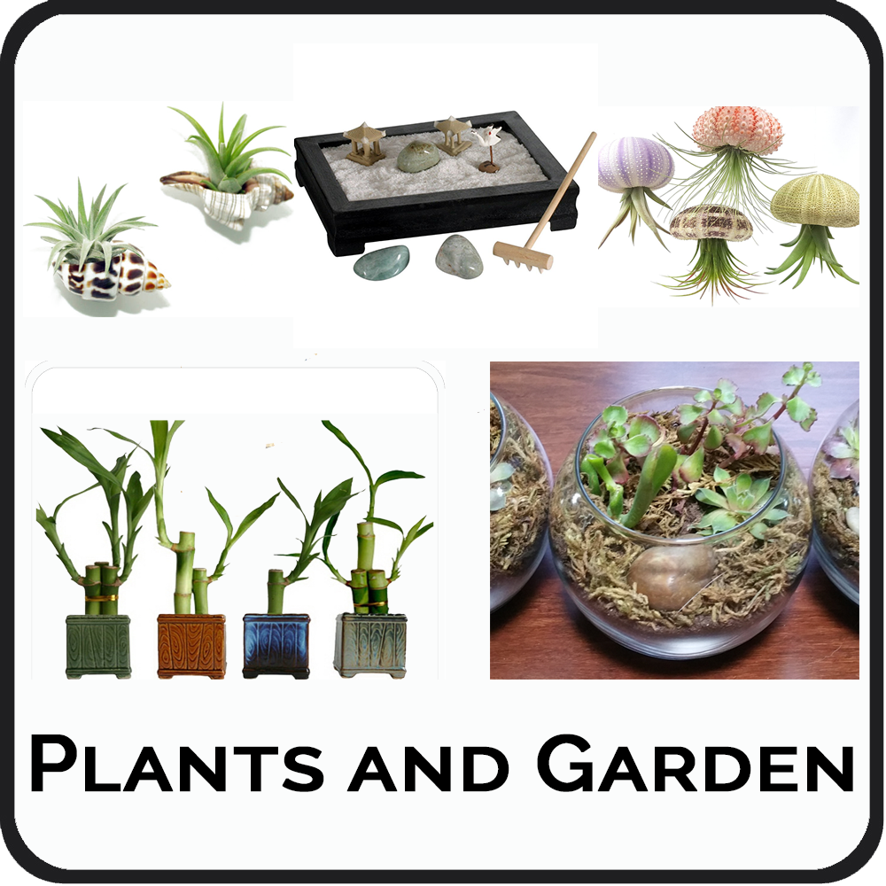 Plants and Garden.png