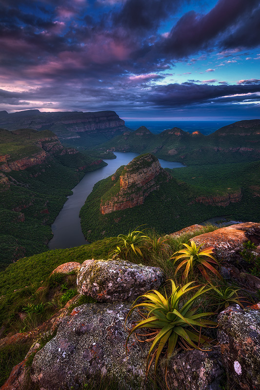 The Blyde River Canyon is the worlds largest "green" canyon, meaning the largest canyon with flora growing inside. It hosts many amazing species, including aloes growing on the edges of cliffs seen here on a mid-summer evening.