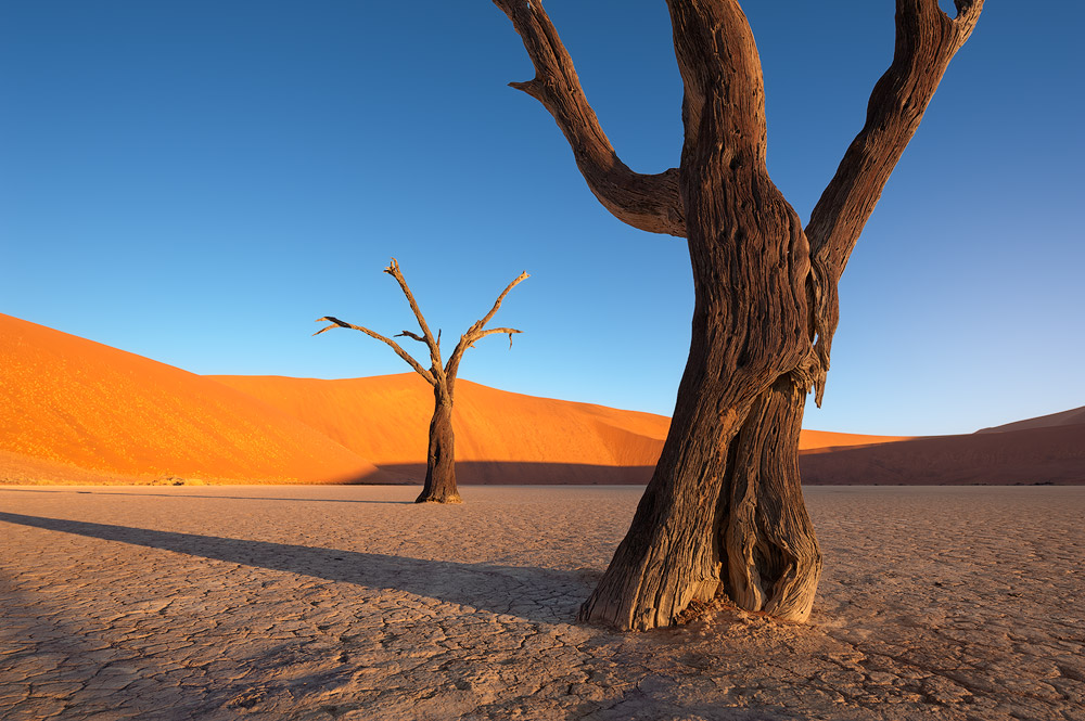 A low-dynamic range scene captured using one exposure without any use of filters.