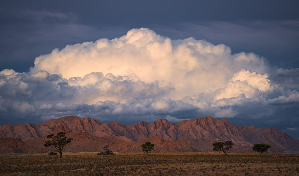 Focal Length - 120mm
