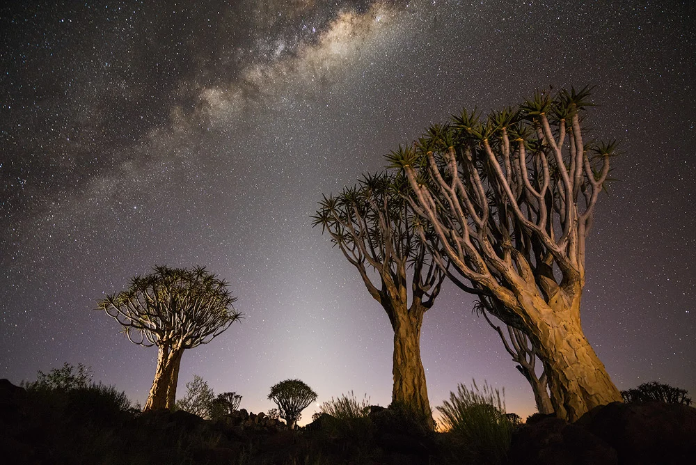 "Balance Of Light" - Quiver Tree Forest, Keetmanshoop, Namibia Three forms of light balance together to create this photograph. Starlight, astronomical twilight and artificial light. The Quiver Trees are composed as if reaching up to the most fascinating form of light, the Milky Way. The challenge was to perfectly balance all three forms of light into a pleasing photograph.