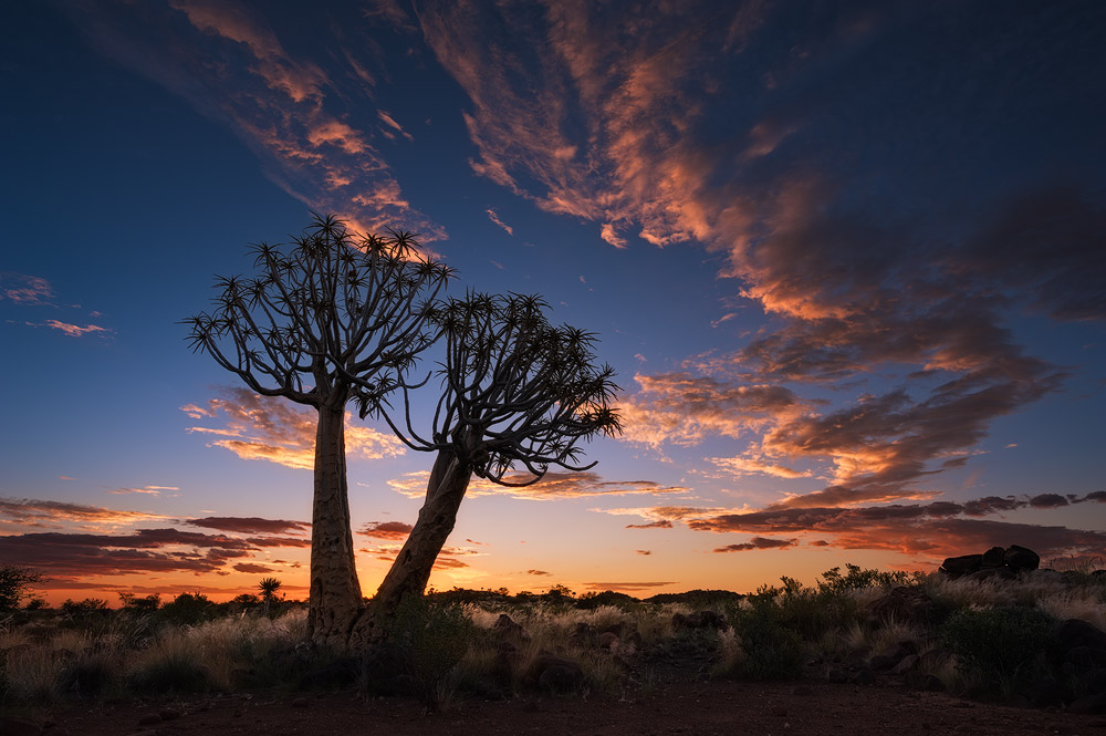 "Sunset over Keetmanshoop" - Quiver Tree Forest, Keetmanshoop, Namibia Sunset falls across the barren but beautiful Quiver Tree landscape of Namibia.