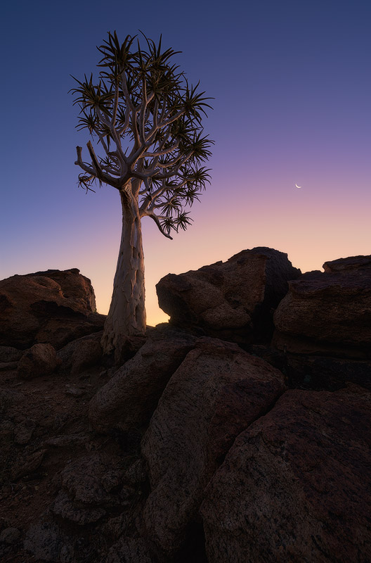 "Twilight Colour Palette" - Augrabies Falls National Park, Northern Cape, South Africa A crescent moon hangs low in the clear, twilight sky of sunset. Beautiful colours from the setting sun tinge the atmosphere in soft hues signalling the end of a very hot day over the harsh environment of the northern Cape.