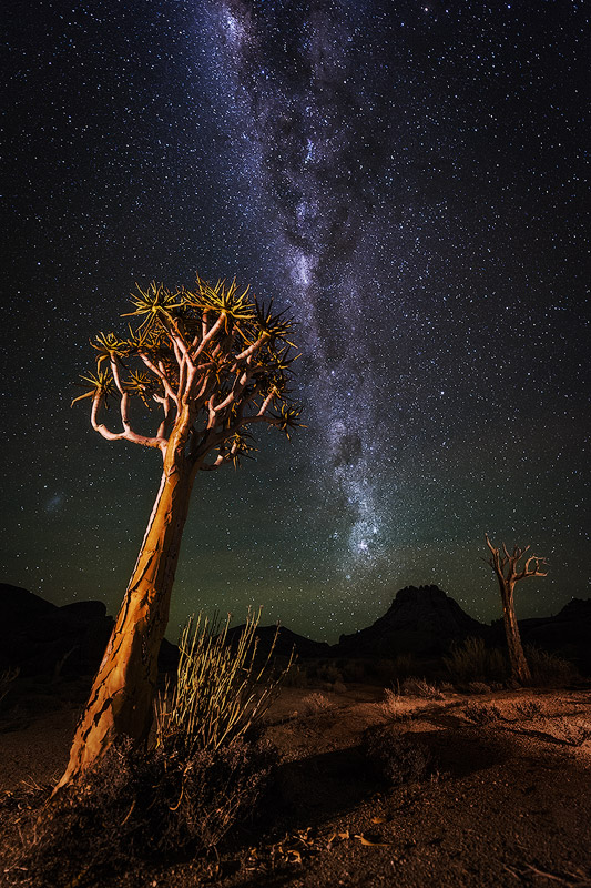 "Milky Way over Kokerboomkloof" - Richtersveld National Park, Northern Cape, South Africa The Milky Way burns bright over the desolate but beautiful landscape of the Richtersveld. Quiver Trees (Kokerboom) stand proud in this harsh environment, reaching up to the stars above.