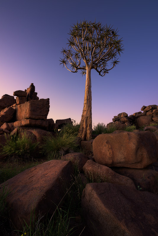 "Giants Playground Sunrise" - Giants Playground, Keetmanshoop Quiver Tree Forest, Namibia The sunrise light faintly paints the atmosphere in soft pink hues and indirectly the landscape of Giants Playground in Namibia.
