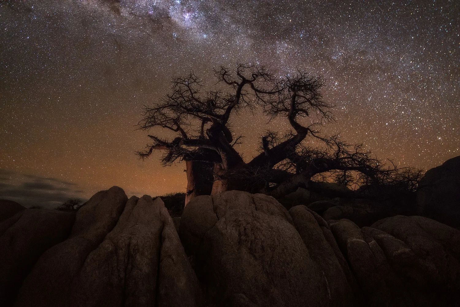 Mysterious Nocturnal Landscape