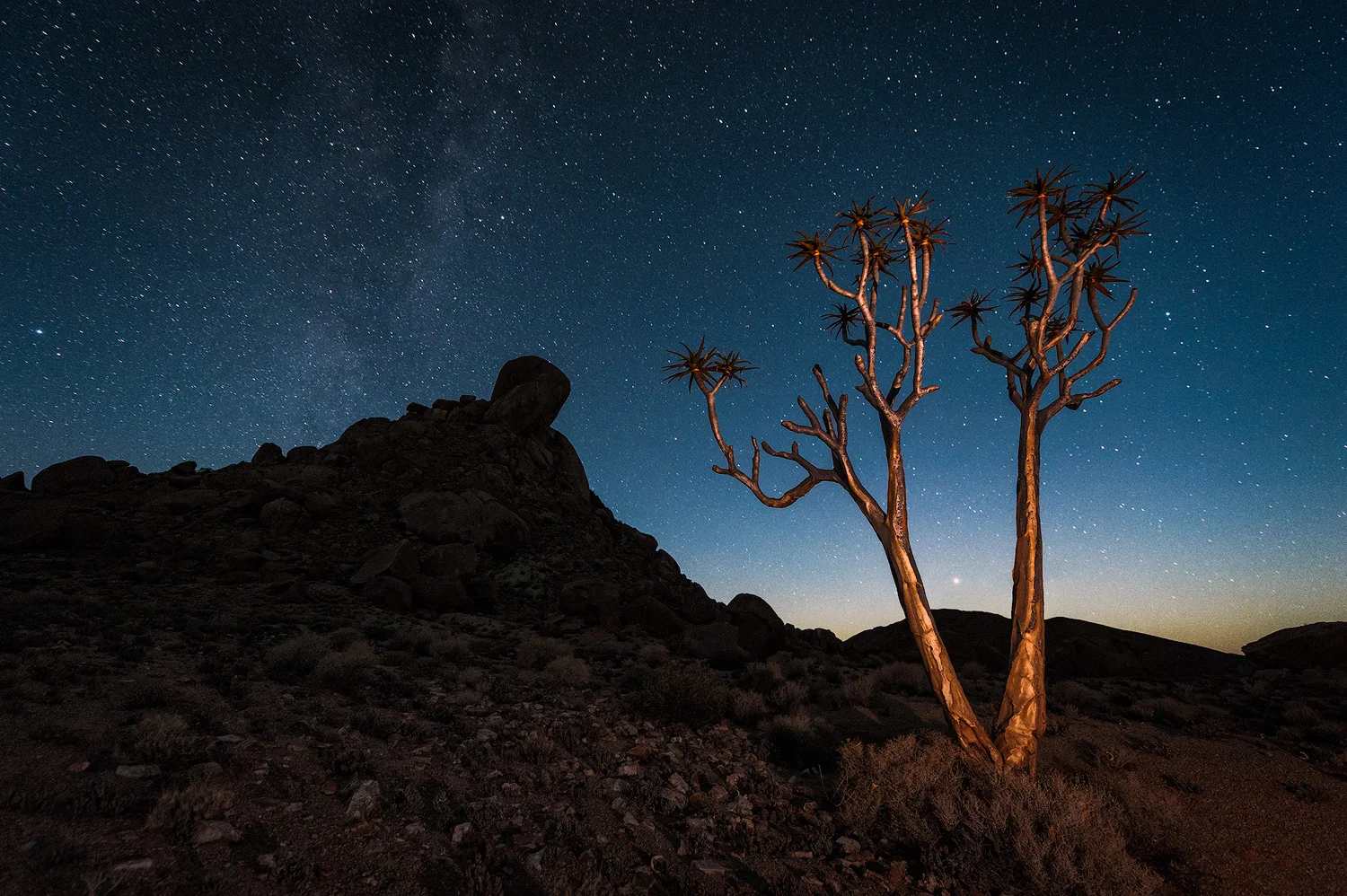 Nocturnal Richtersveld