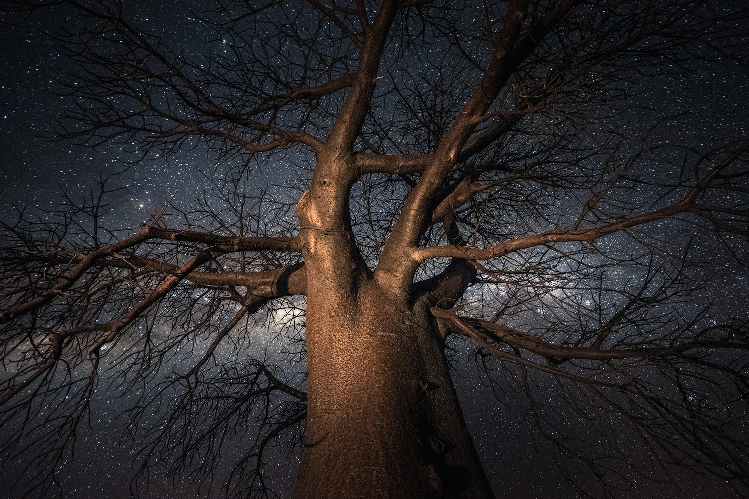 Looking Skyward