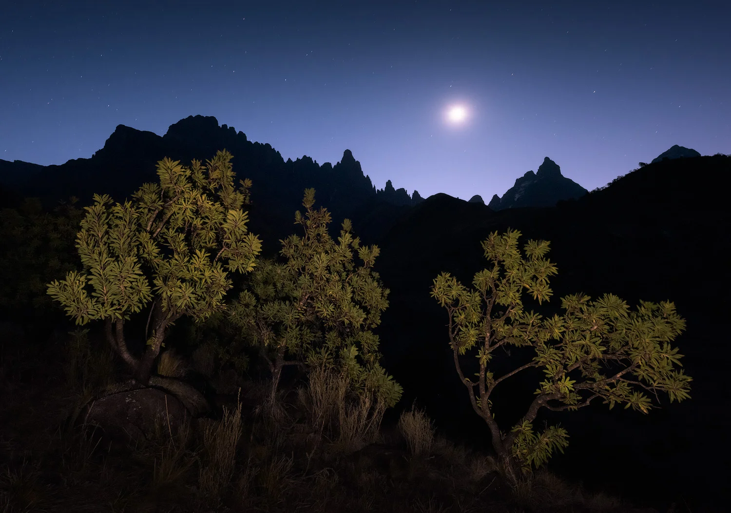 Moonset Over Rockeries