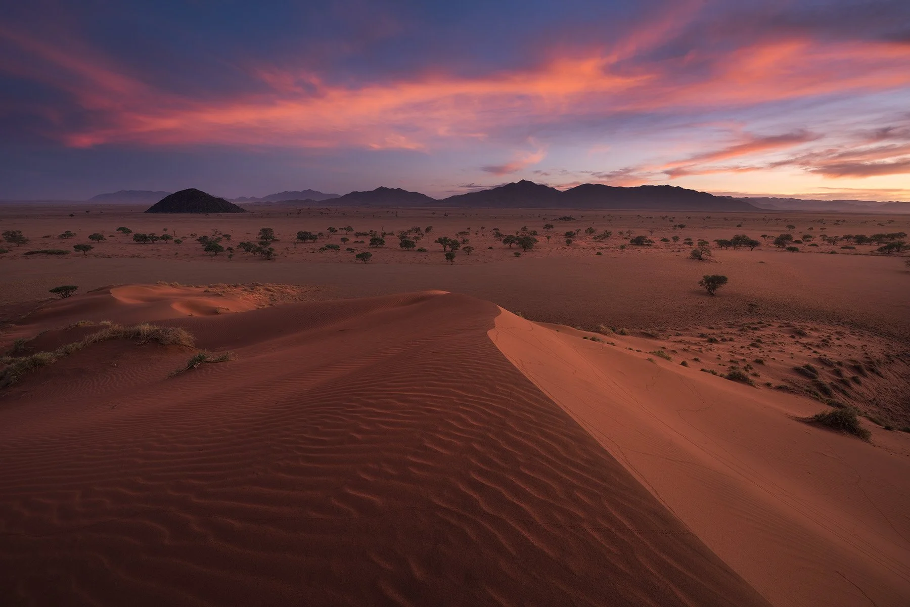 Arid Land Mark Dumbleton