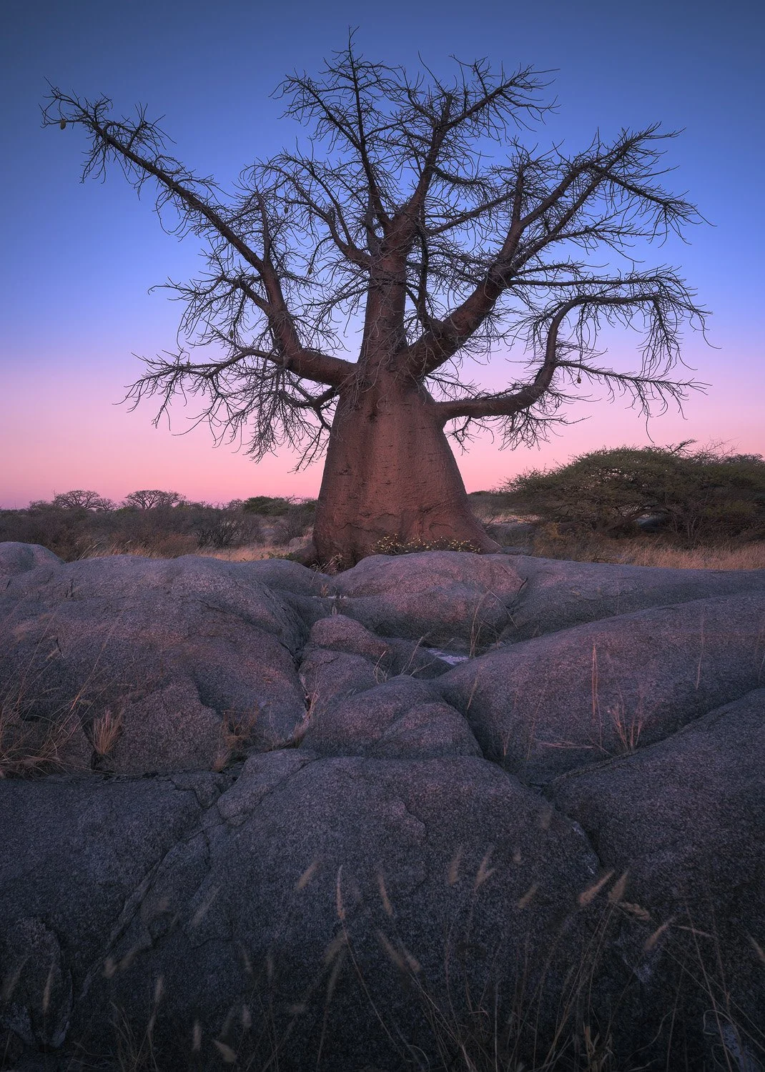Dawn At Kubu (Copy)