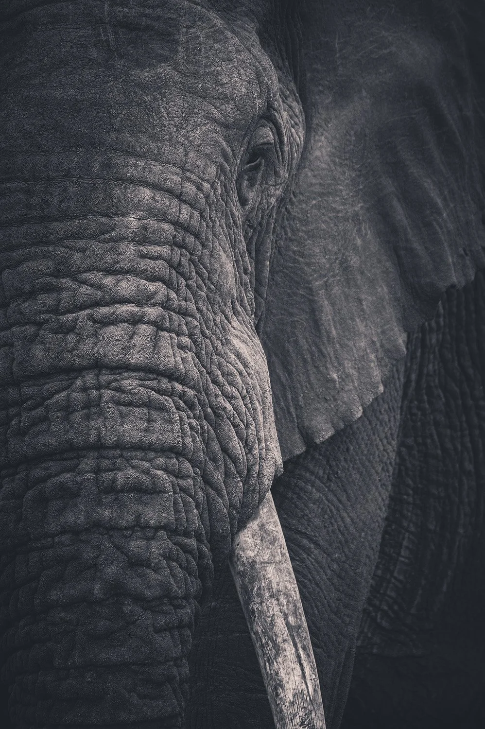 Portrait of an African Soul (Copy)