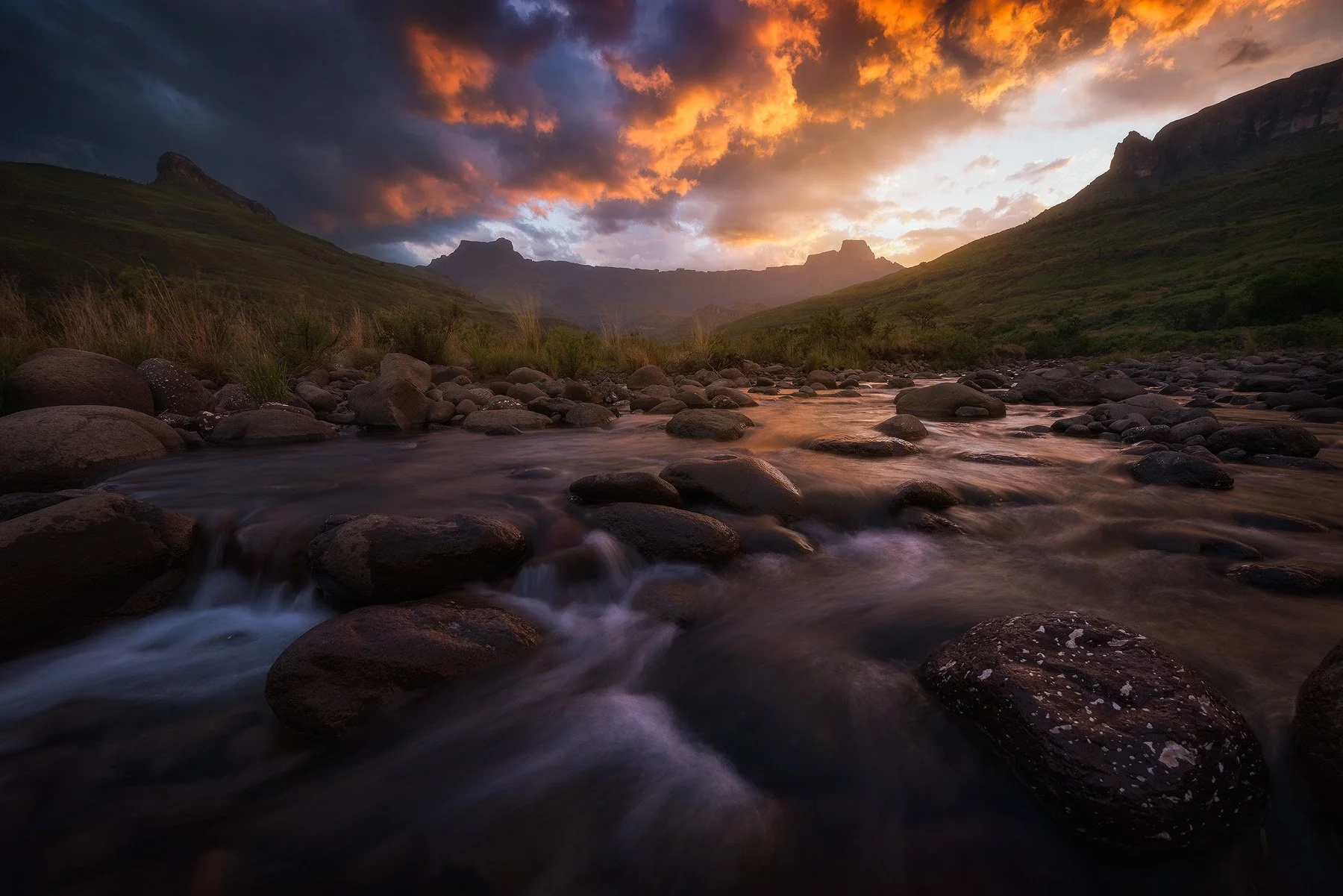 Remnants of Light (Copy)