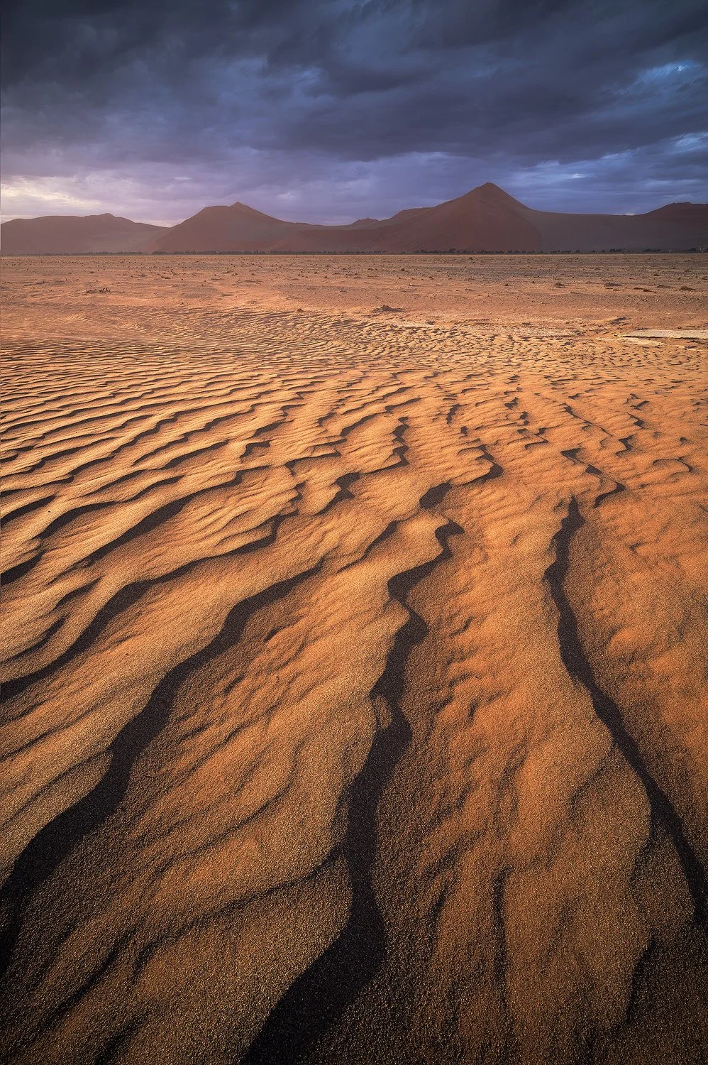 Towards The Dunes (Copy)