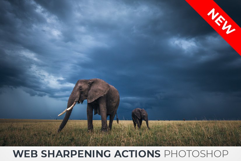 sharpening-actions-product.jpg