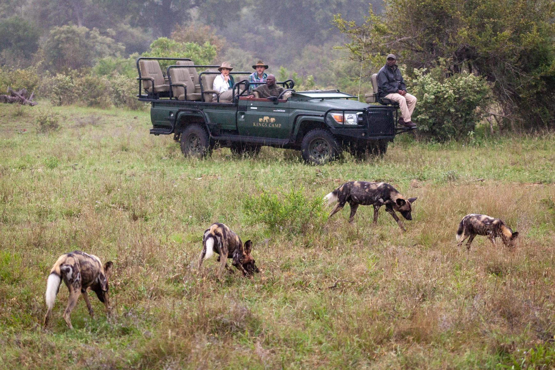 Kings Camp Game Drives 5.jpeg