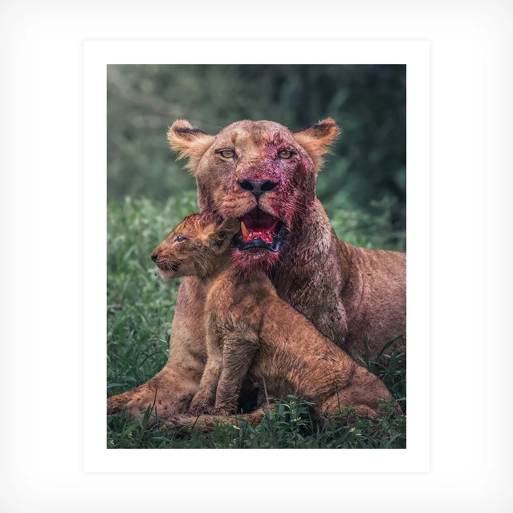 After the Feast fine-art print