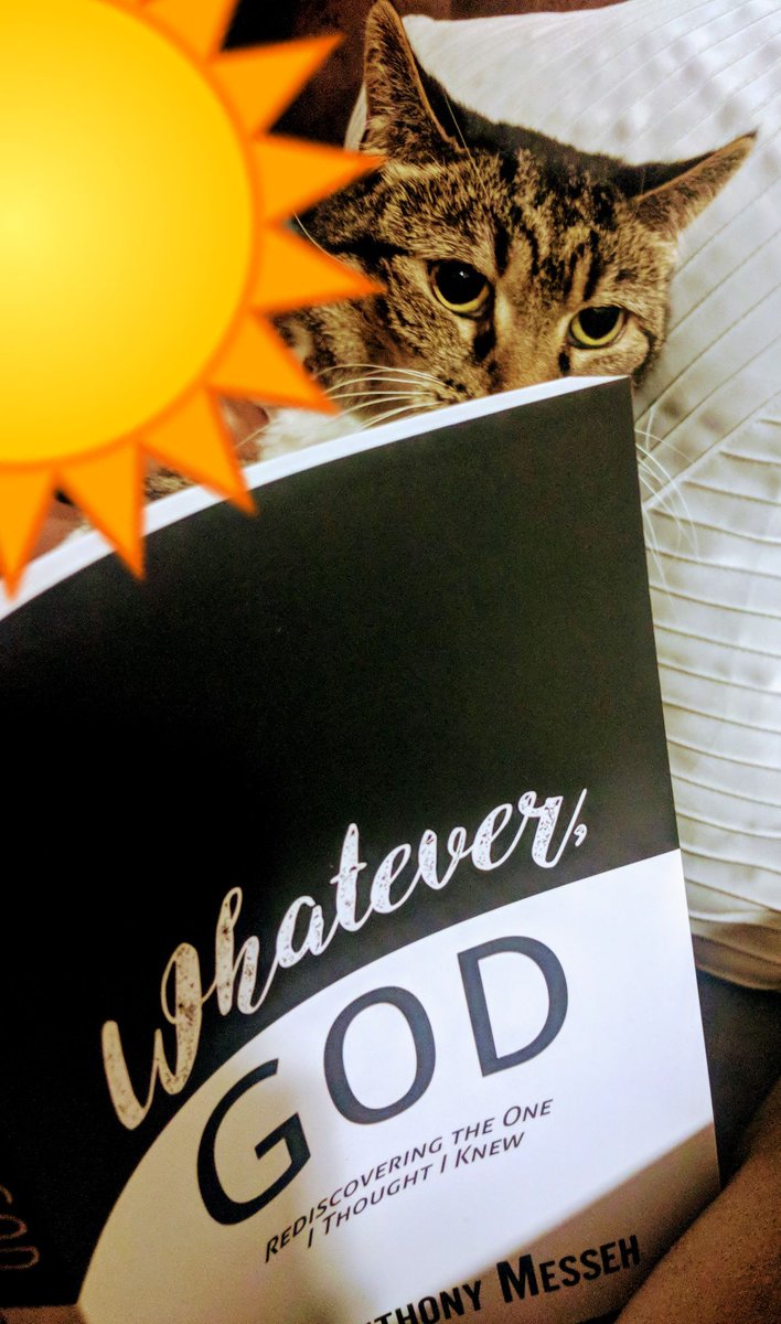 cat bruce.jpg