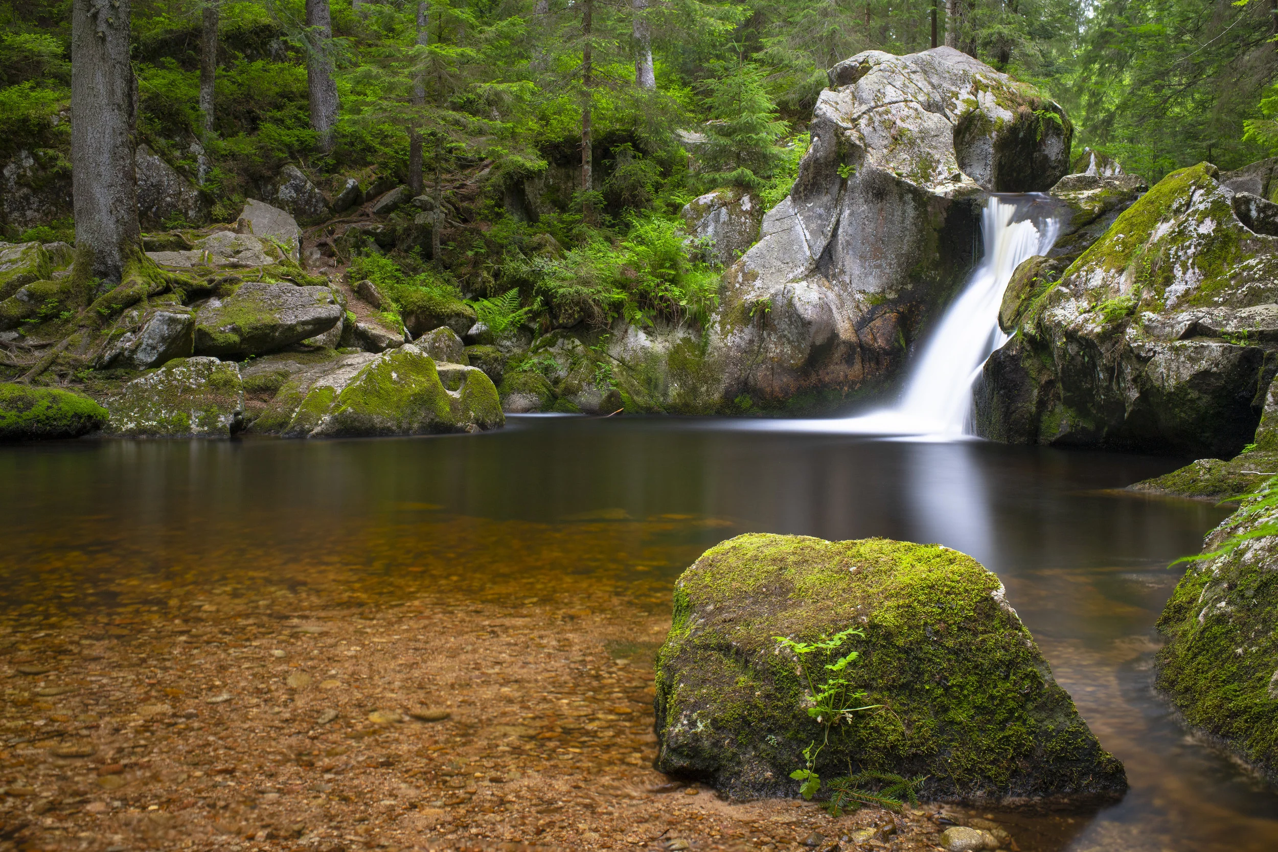 Krai Woog Schwarzwald
