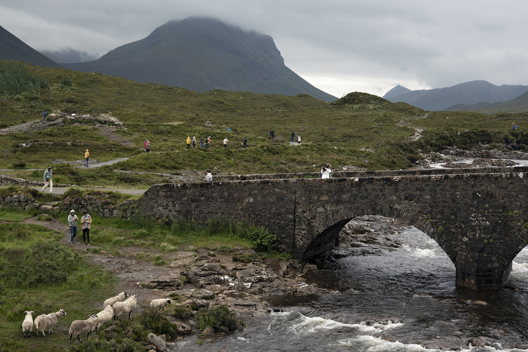 Brücke_DSC0952.jpg