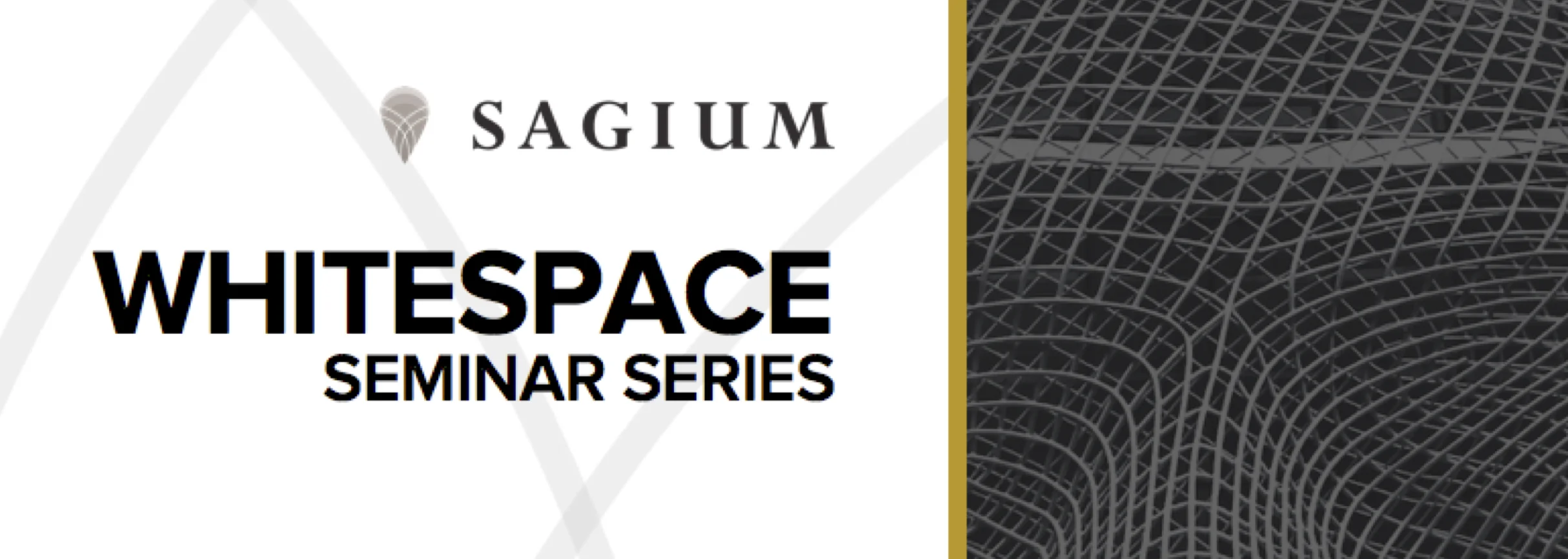News Blog - SAGIUM LAUNCHES WHITESPACE SEMINAR SERIES.jpg