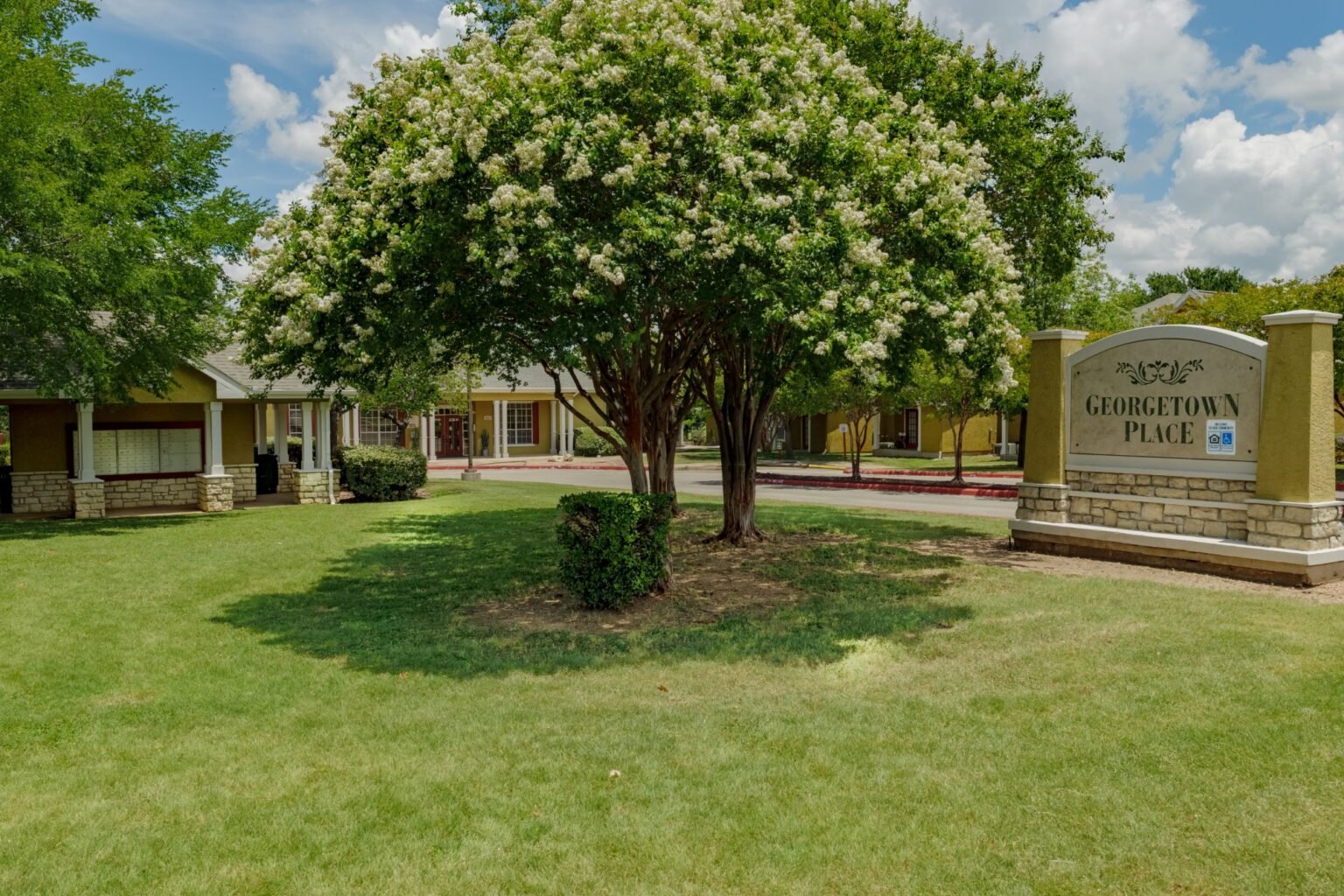georgetown-place-gallery-05-front-sign-tree-1536x1024.jpg