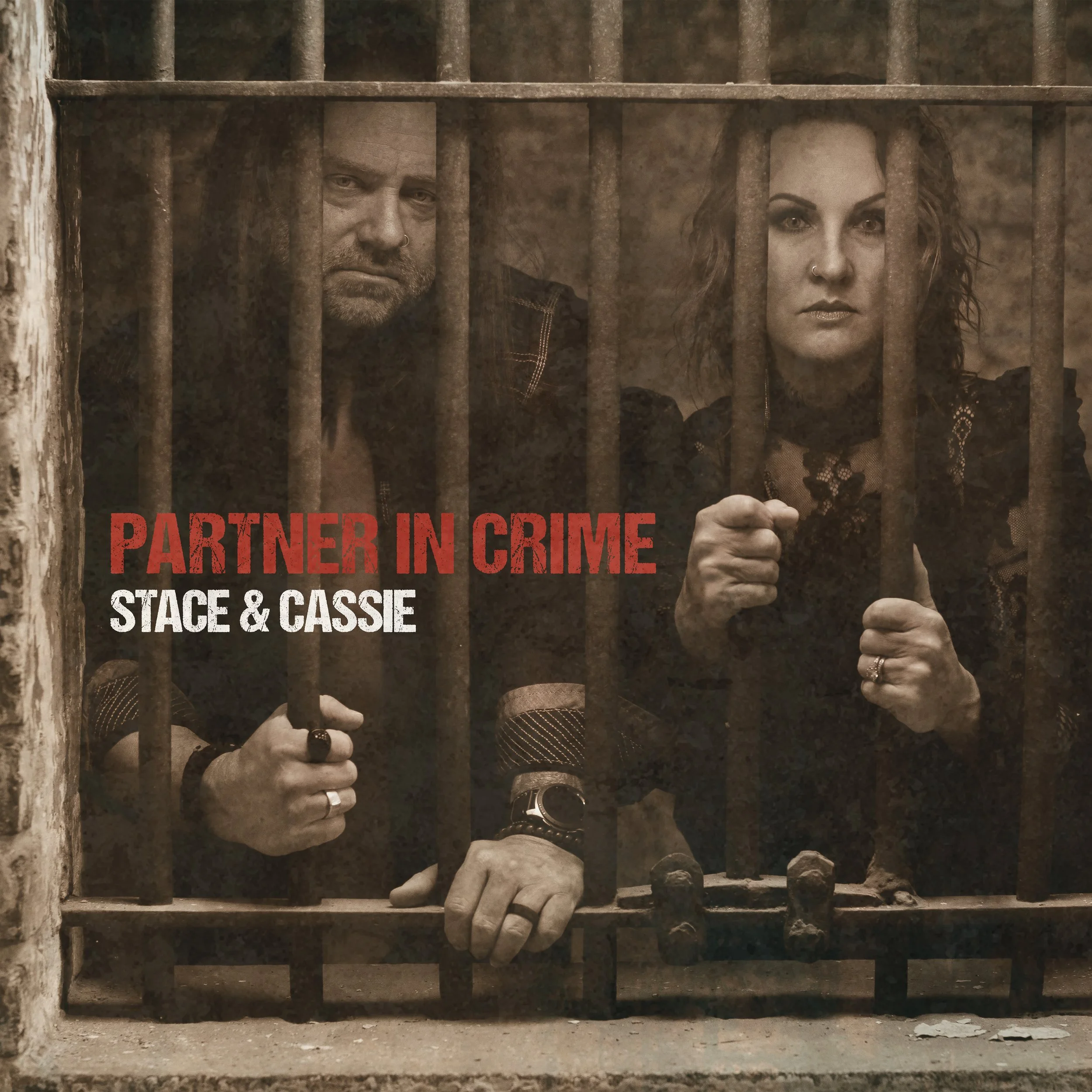 PartnerInCrime_SingleCover_1.jpg