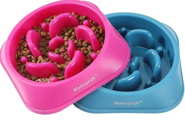 best things to buy on amazon slow feeder dog bowl