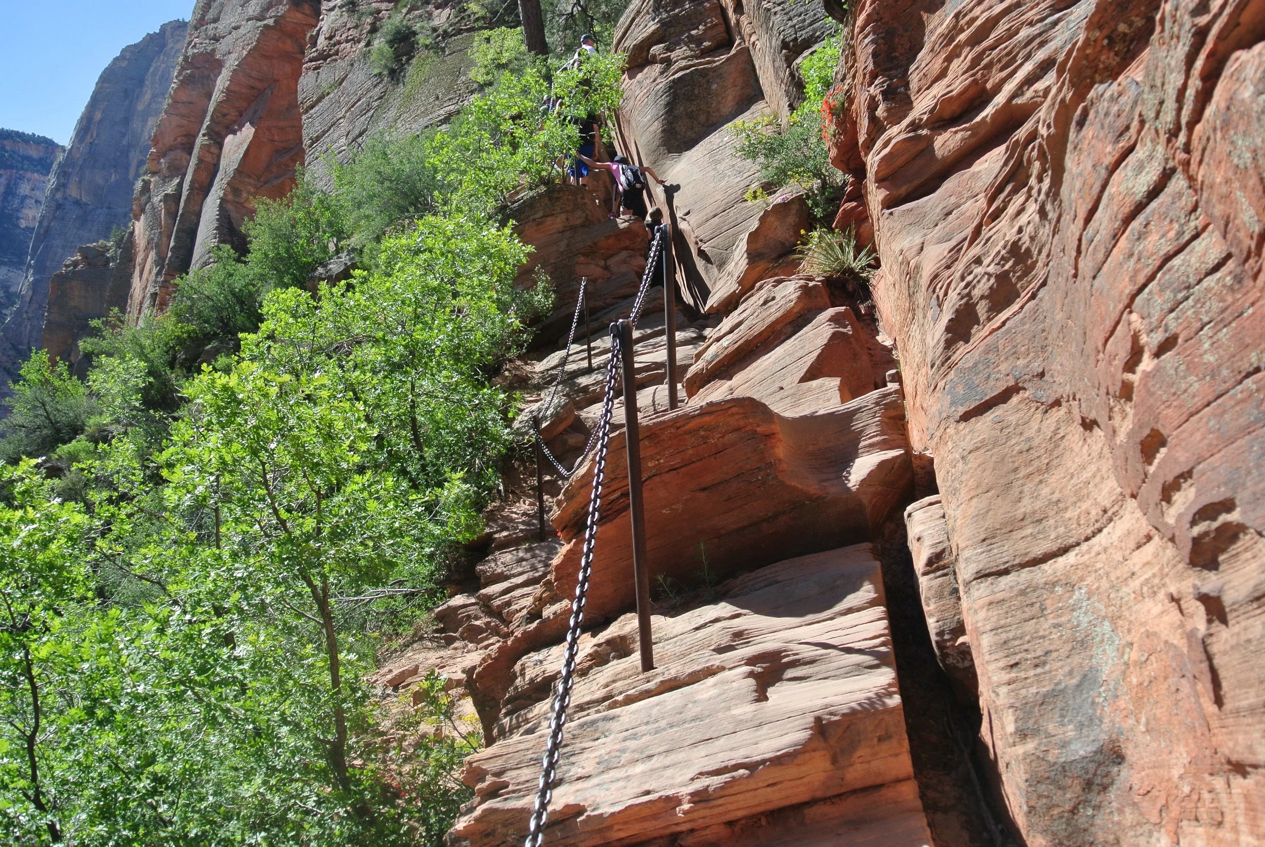 Whole lotta noooope. Chains, Angel's Landing, Zion National Park. 