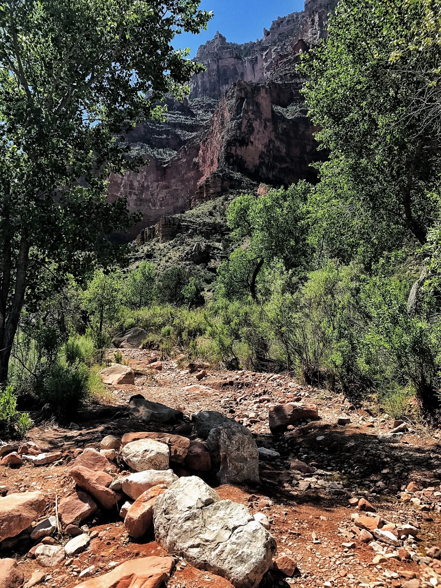 Indian Gardens, South Rim, Grand Canyon 