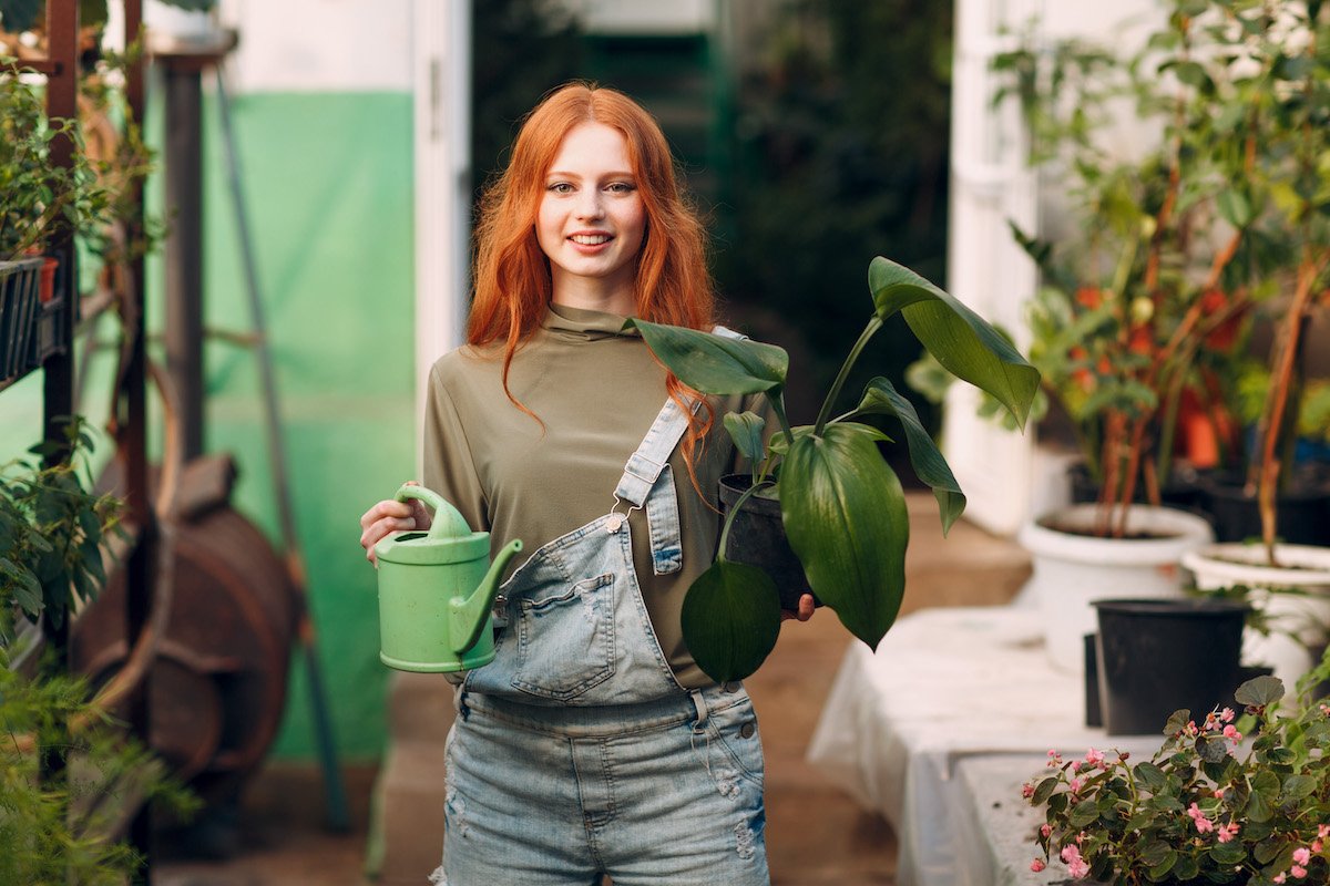 How Houseplants Can Benefit Your Mental Health