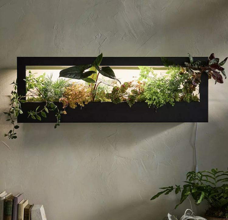 Gifts For The Woman Who Has Everything - Grow Light Frame Shelf