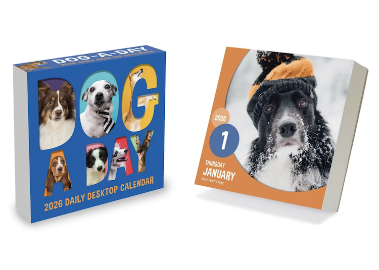 Work From Home Gifts - Daily Dog Calendar