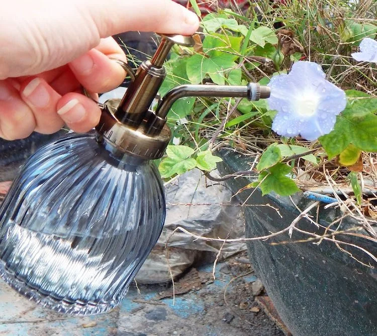 Best Gifts For Gardeners - Plant Mister